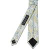 Green and Blue Paisley Skinny Men's Tie