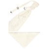Ivory Paisley Men's Cravat Tie and Pocket Square Set