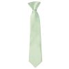Pre Tied Pale Mint Boys Tie Age 4-7