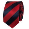 Navy and Red Striped Skinny Men's Tie