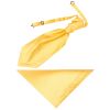 Plain Gold Satin Men's Cravat Tie and Pocket Square Set
