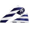 Navy and White Striped Skinny Boys Football Tie and Pocket Square Set