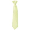 Pre Tied Willow Green Boys Tie and Pocket Square Set Age 4-7