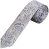 Silver and Blue Paisley Skinny Men's Tie