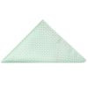 Mint Green Diamond Neat Classic Men's Tie and Pocket Square Set