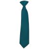 Pre Tied Dark Teal Satin Boys Tie Age 4-7