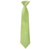 Pre Tied Light Sage Boys Tie Age 4-7