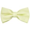 Pre Tied Plain Willow Green Satin Boys Bow Tie and Pocket Square Set