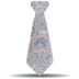 Paisley Ties